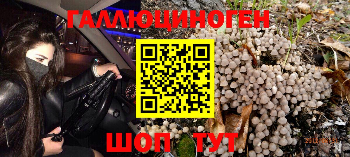 Псилоцибиновые грибы мицелий Ижевск