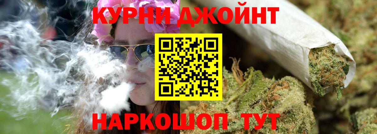 Конопля сатива Ижевск